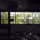 Image for article titled The Feral Factories Of Detroit